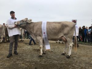 12Miss OB Schwarzenberg